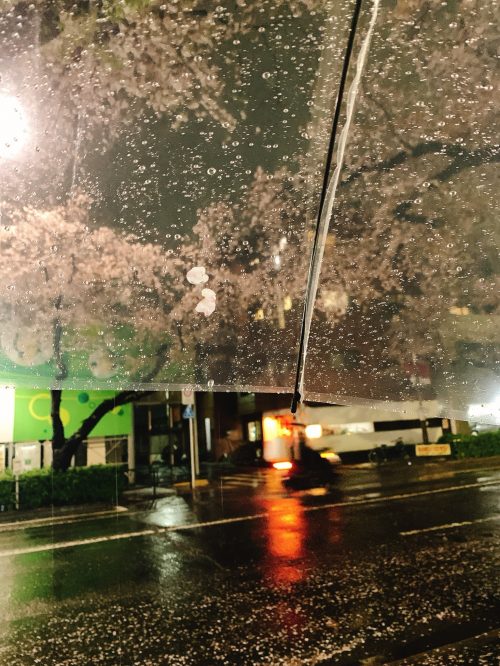 ★準グランプリ_03_近藤実歩